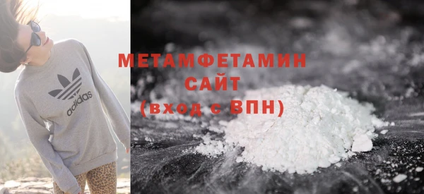 шишки Белокуриха