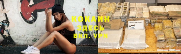 шишки Белокуриха