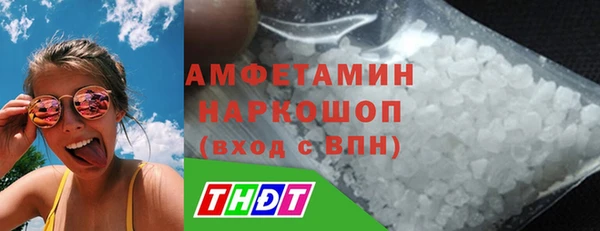 шишки Белокуриха