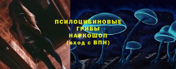 стафф Беломорск
