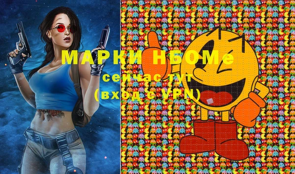 шишки Белокуриха