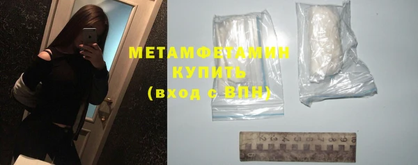 шишки Белокуриха
