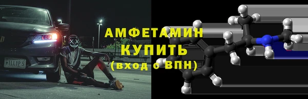 шишки Белокуриха
