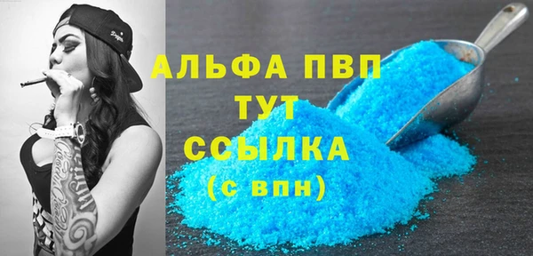 шишки Белокуриха