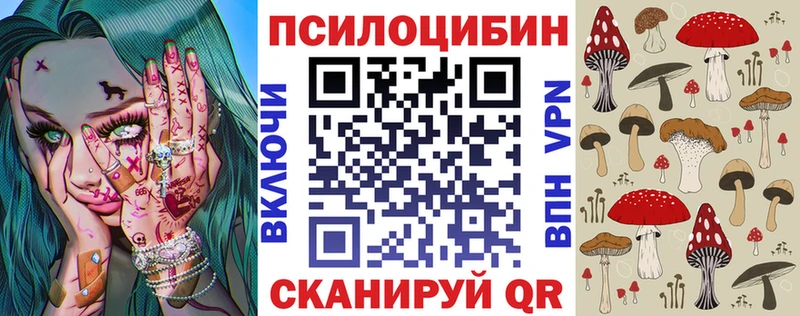 Псилоцибиновые грибы Psilocybine cubensis  купить наркотики цена  Козьмодемьянск 